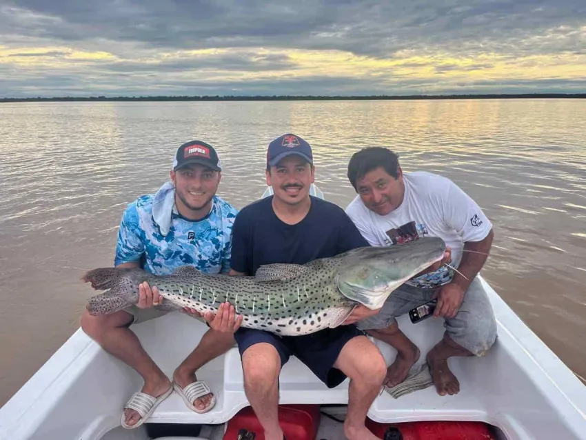 PESCADOR.webp Hazaña en el río Paraná: pescaron un surubí de 40 kilos en Corrientes