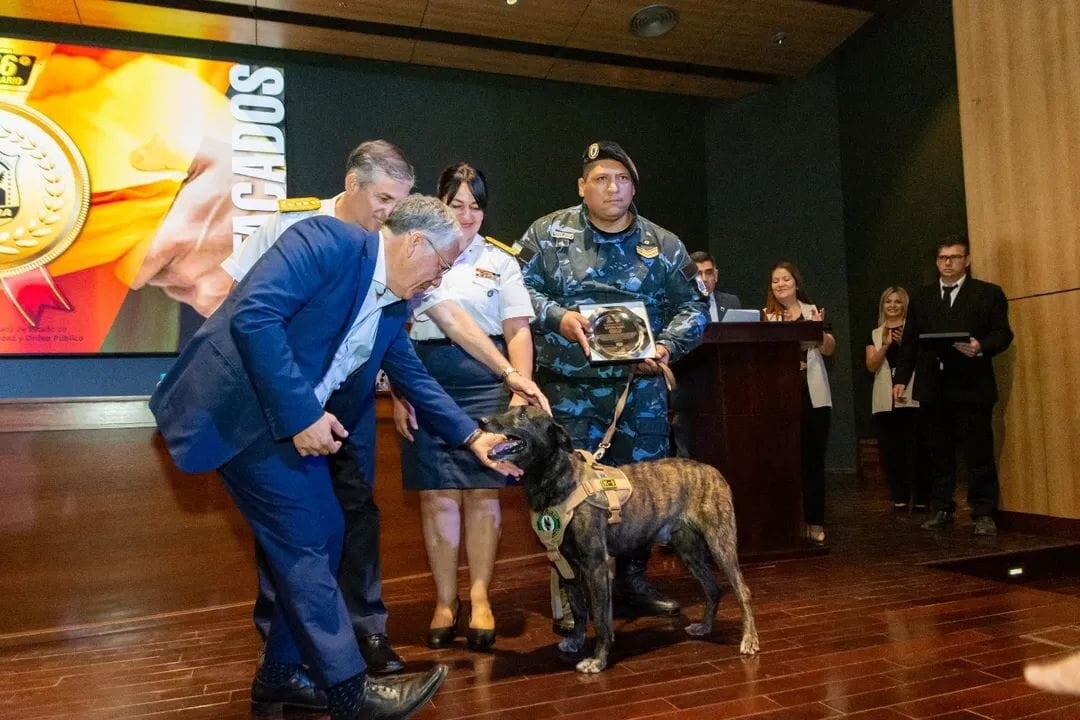 POLICIA-RETIRO-2025-2.jpeg POLICIA-RETIRO-2025-2.jpeg