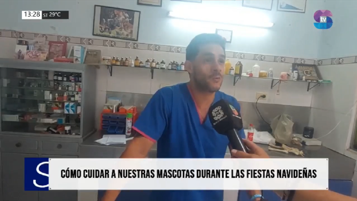 PORTADA FEDERICO TOLEDO.png Ruidos, estrés y cuidados: lo que sufren las mascotas en estas fechas