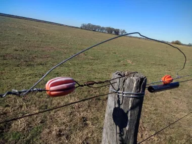 POSTE.webp Colonia Carolina Corrientes: Peón rural murió electrocutado cuando instalaba boyeros