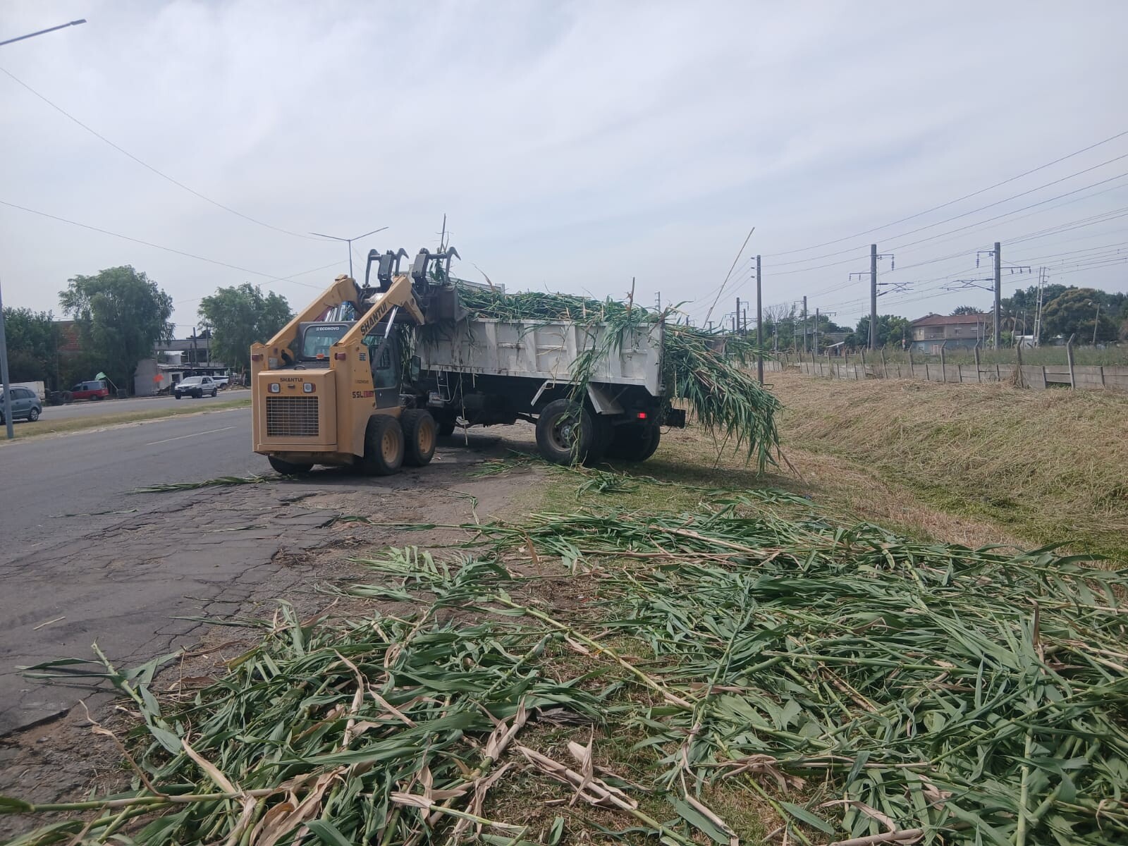PRENSA1.jpg PRENSA1.jpg
