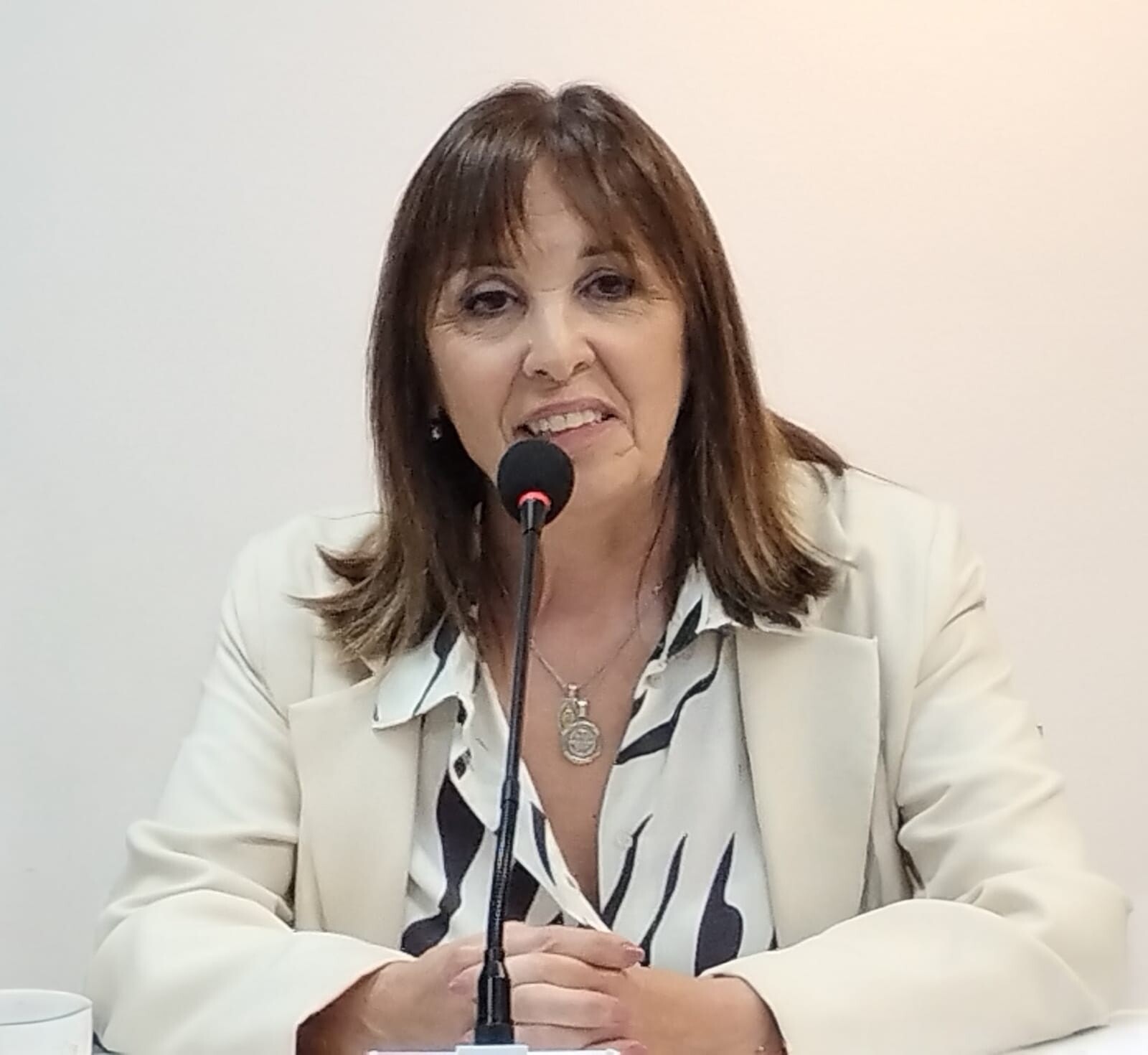 Vecinos de la Ciudad de San Juan eligieron las obras del Presupuesto Participativo 2025