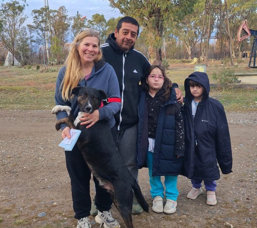 El Refugio Municipal de Rawson impulsa la adopción responsable de animales rescatados con una campaña abierta a la comunidad.