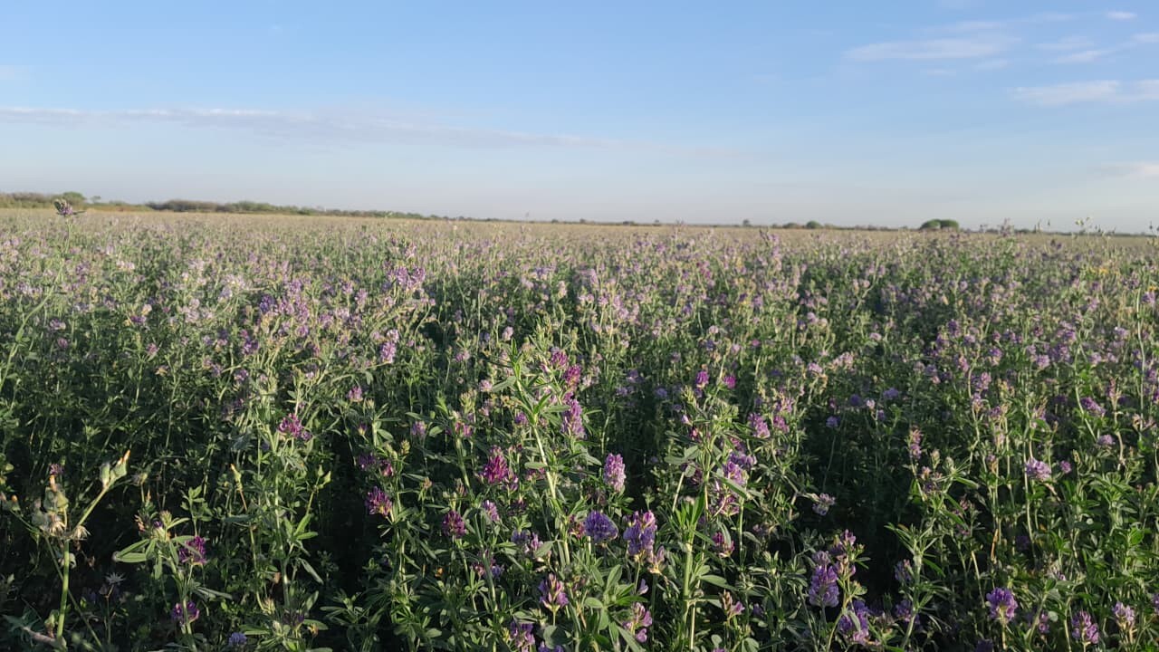 Nuevo mes, y a la espera de lluvias