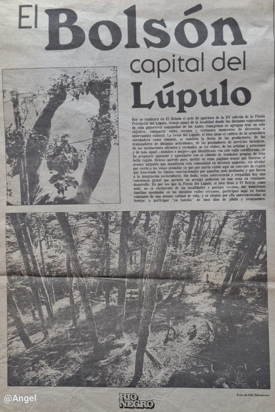 Patrimonio Historico cultural El Bolsón Fiesta Lupulo 1.jpeg