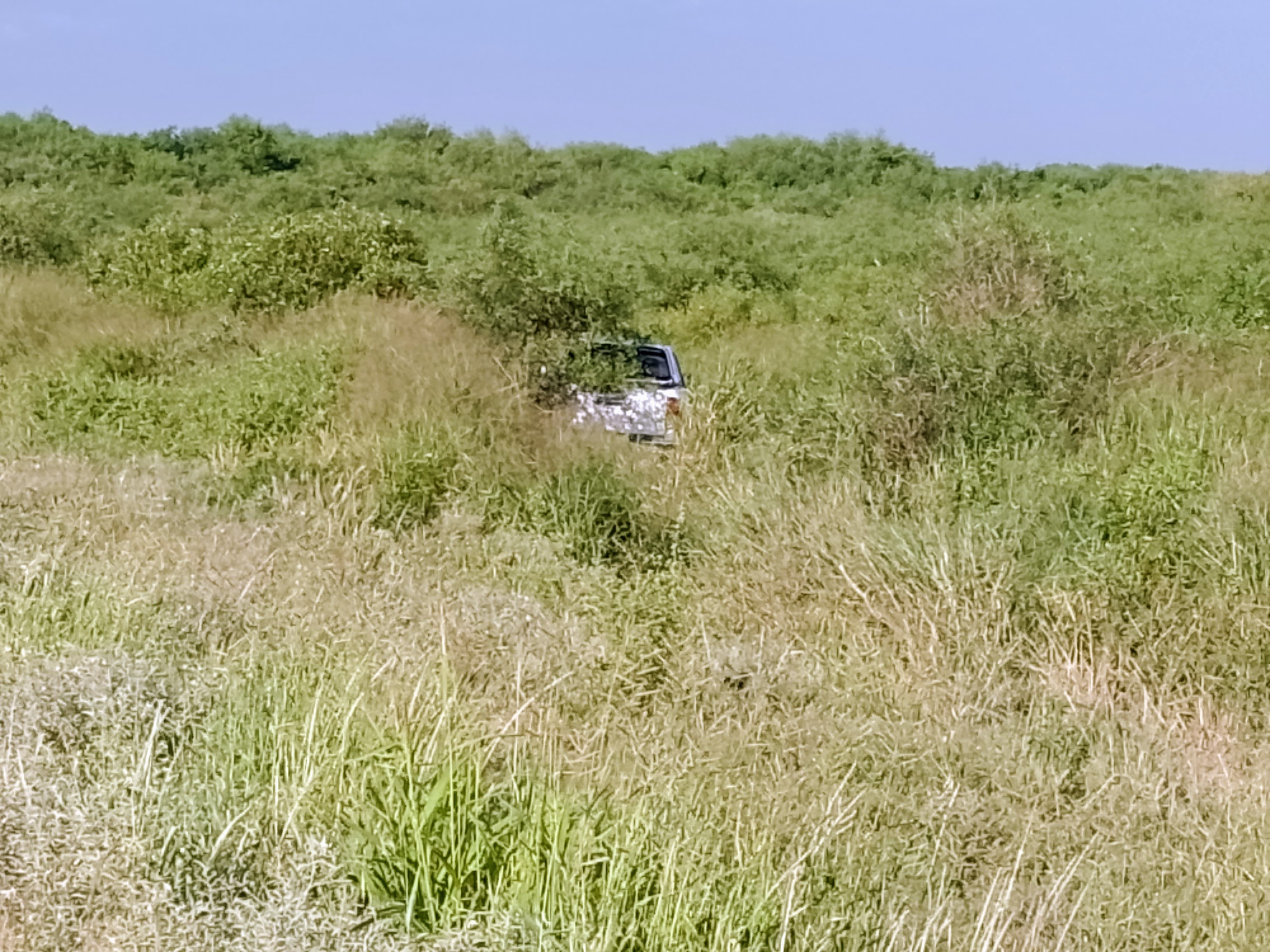 Excarcelaron al hombre que atropelló y mató a un padre y su hija dorenses