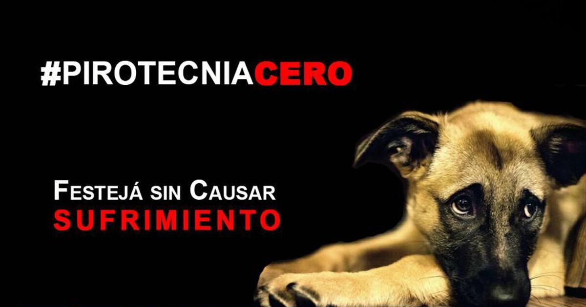 Pirotecnia1.jpg Pirotecnia1.jpg