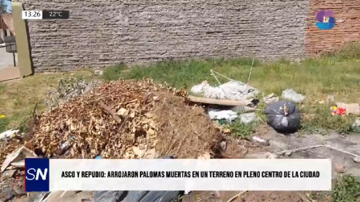 Portada Basura.png Horror y desidia en Metán: arrojaron bolsas con palomas muertas en pleno centro