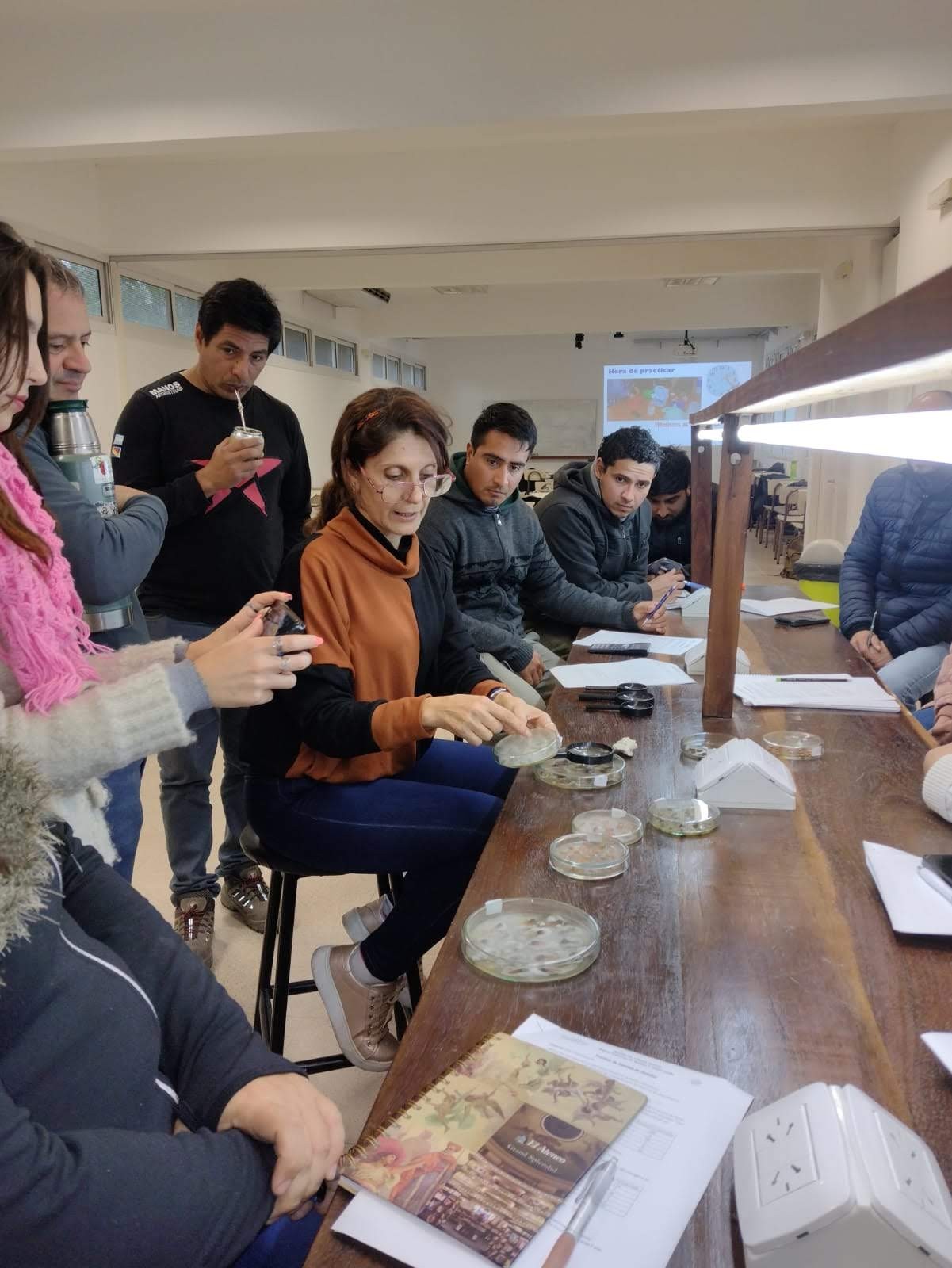 AGENCIA UNSE:  Posgrados en Ciencias Forestales – oportunidades para Profesionales