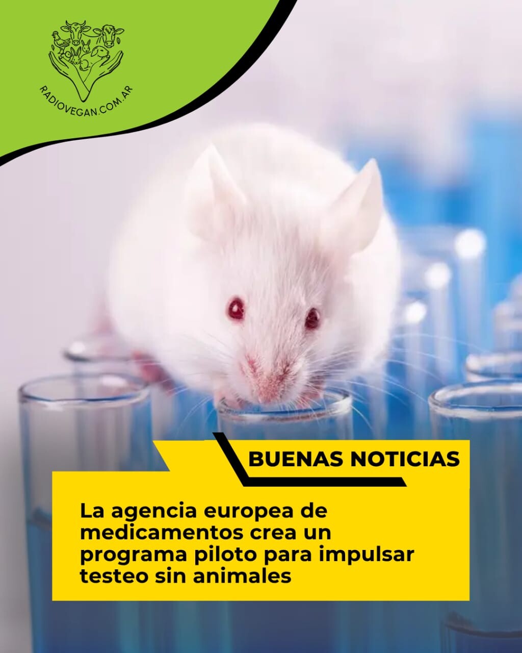 CREAN PROGRAMA EN EUROPA PARA SACAR TESTEO EN ANIMALES
