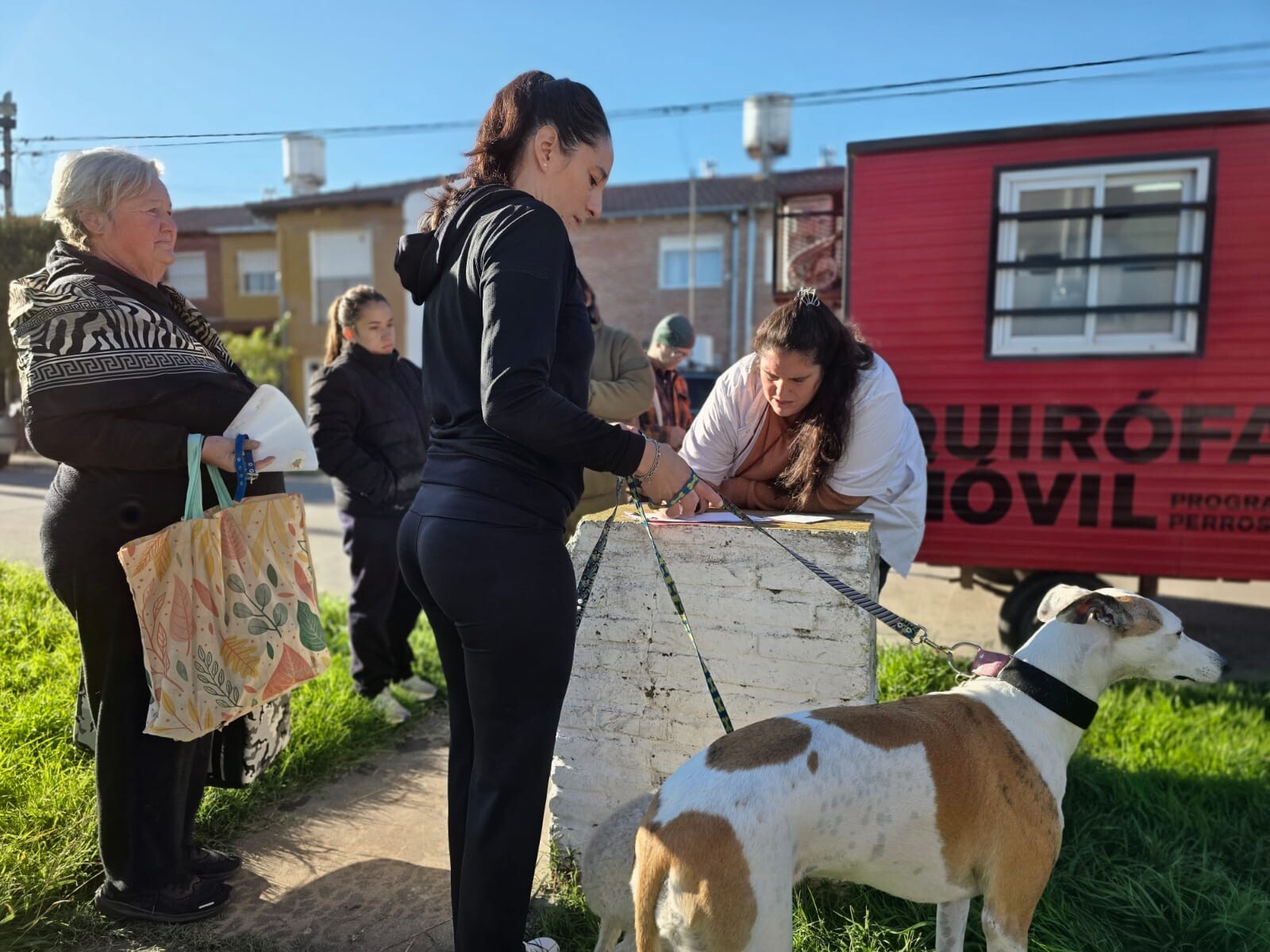 Durante mayo continúa en los barrios el programa de castraciones y vacunaciones del quirófano móvil