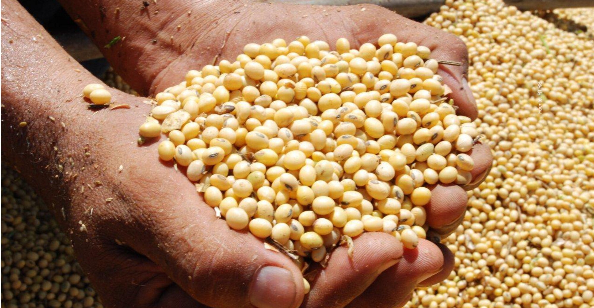 INFO RURAL: LA BAJA DEL DÓLAR AFECTÓ AL PRECIO DE LA SOJA EN ROSARIO EN EL INICIO DE LA SEMANA.