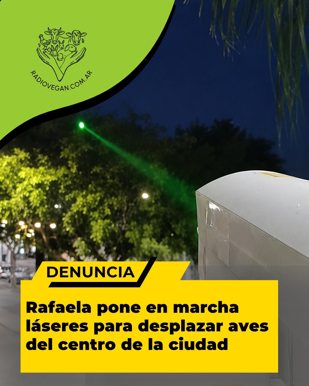 Rafalea Laser aves.jpeg UTILIZAN LÁSER PARA AHUYENTAR AVES (RAFAELA, ARGENTINA)