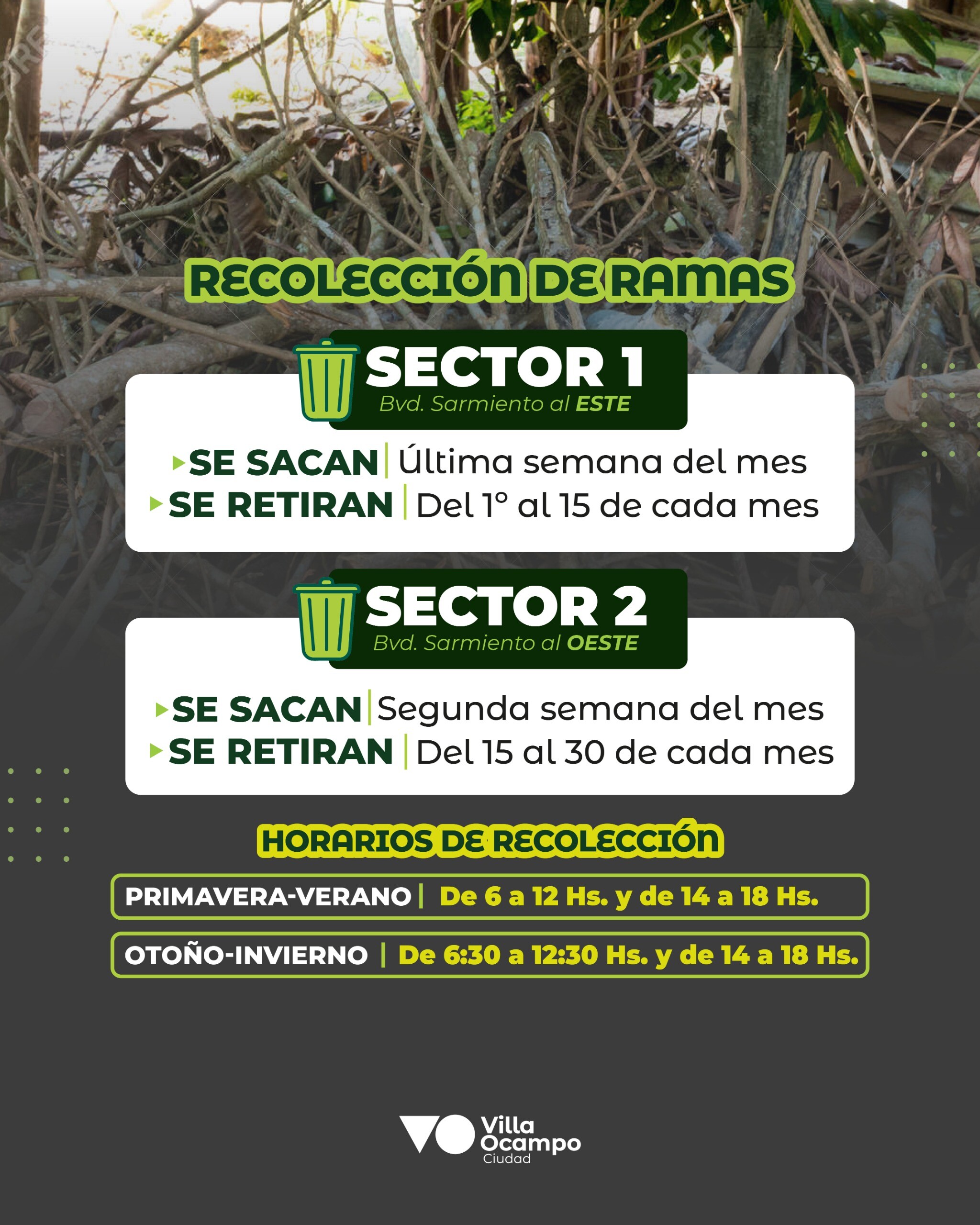 Recoleccion Ramas.jpeg