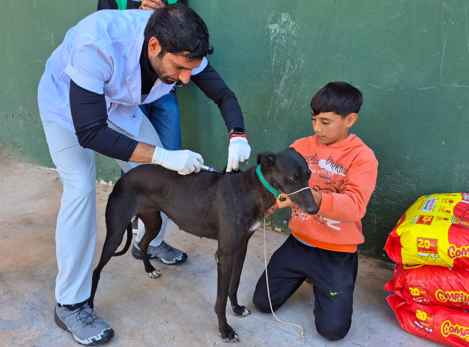 SALUD-ANIMAL-SAN-MARTIN-2.jpeg SALUD-ANIMAL-SAN-MARTIN-2.jpeg