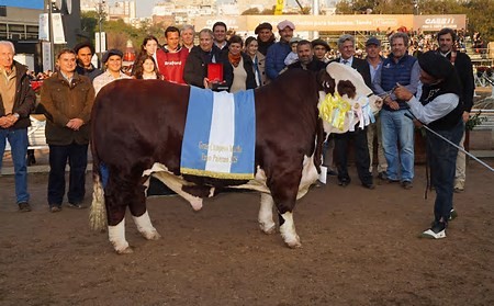 INFO RURAL – CABAÑA SANTA IRENE SE ALZÓ CON EL GRAN CAMPEÓN MACHO BRAFORD EN PALERMO 2025.