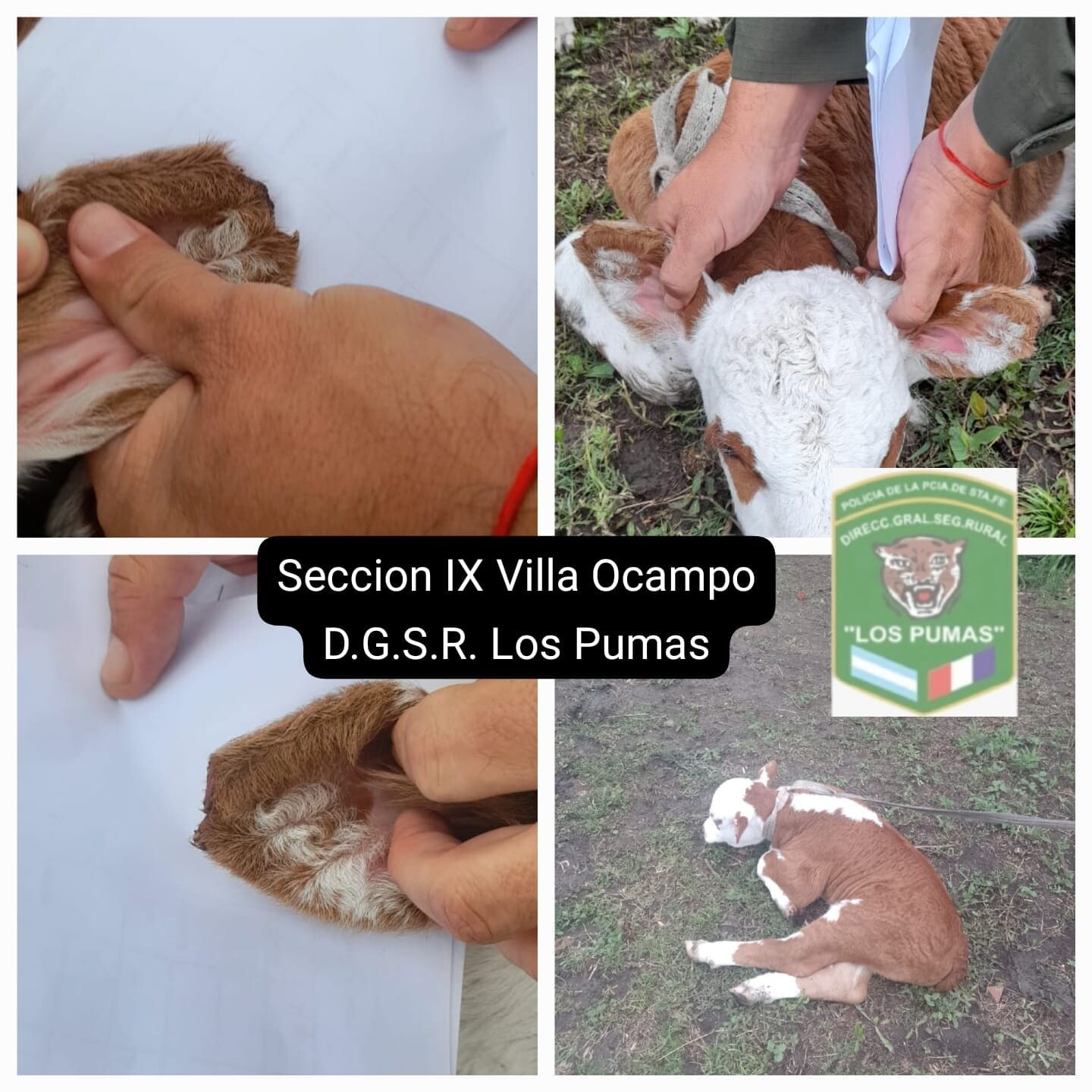 SECCION N°9.jpg SECCION N°9.jpg
