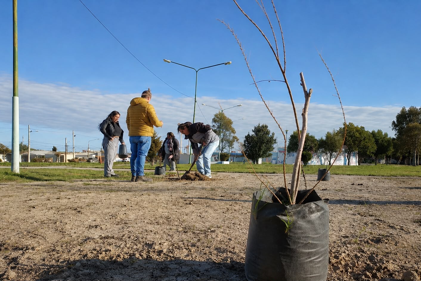 Rawson inició la Semana del Árbol con una jornada de plantación Rawson inició la Semana del Árbol con una jornada de plantación