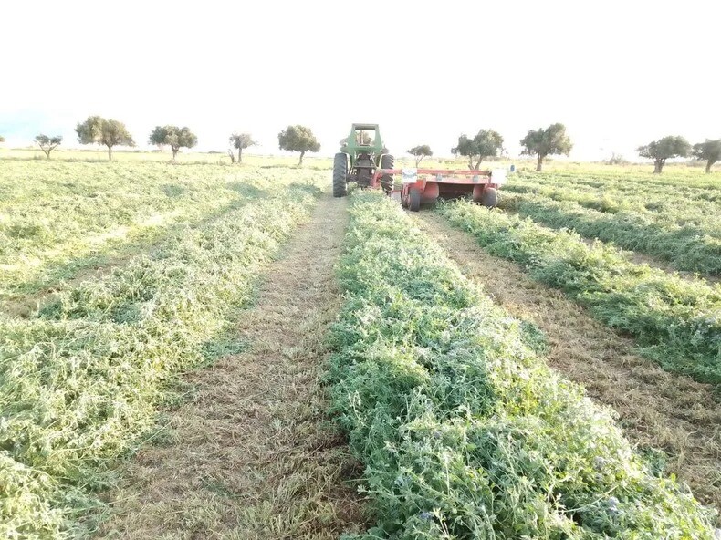 El Gobierno de San Juan lidera la consolidación de un cluster semillero en Jáchal