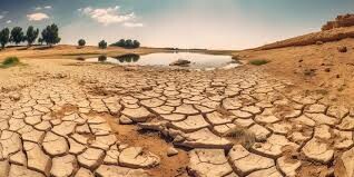 Restaurar Suelos Agrícolas Degradados- «ES EL RETO»