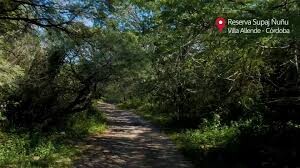 Villa Allende: denuncian desmonte en la reserva Supaj Ñuñu