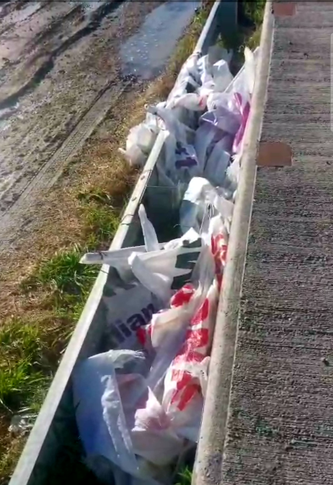 Screenshot_20250825-144423_cropped.png Screenshot_20250825-144423_cropped.png