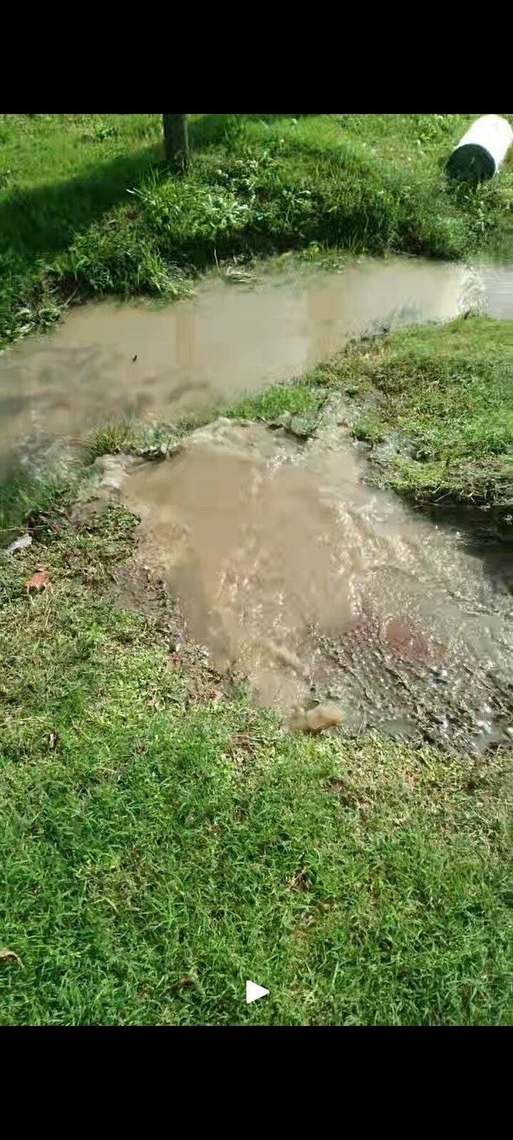 Cloacas colapsadas en calle 1 y 48: vecinos denuncian desborde y reclaman soluciones urgentes