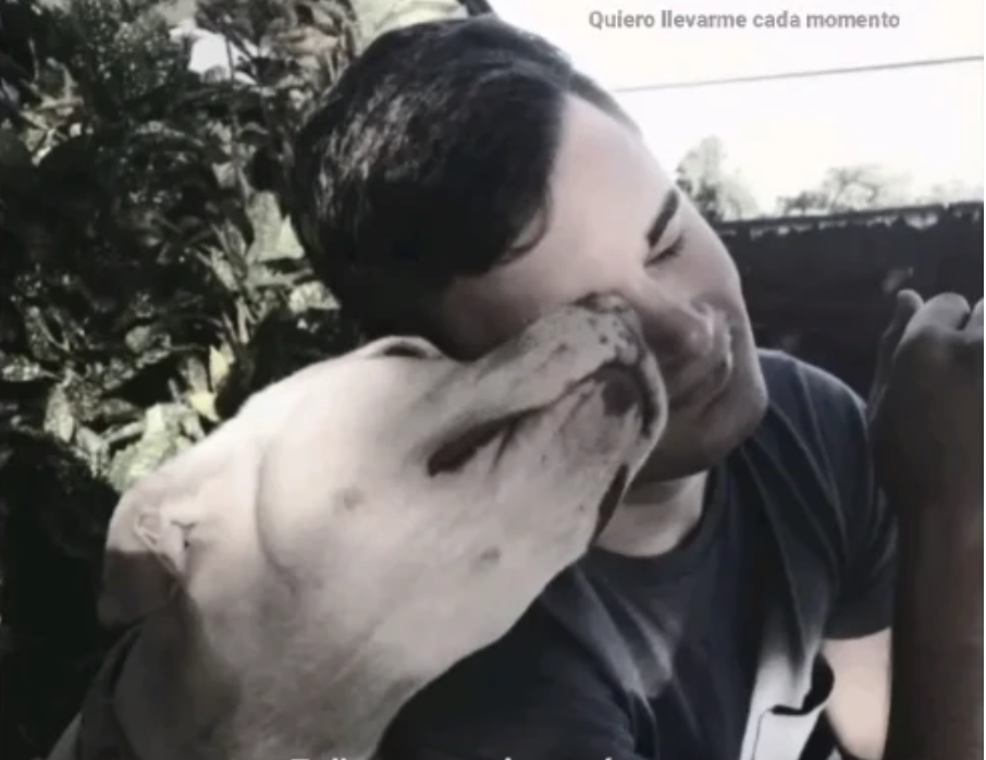 La madre del policía que mató a su ex y se suicidó hizo un posteo musicalizado con un tema de Airbag llamado Cicatrices