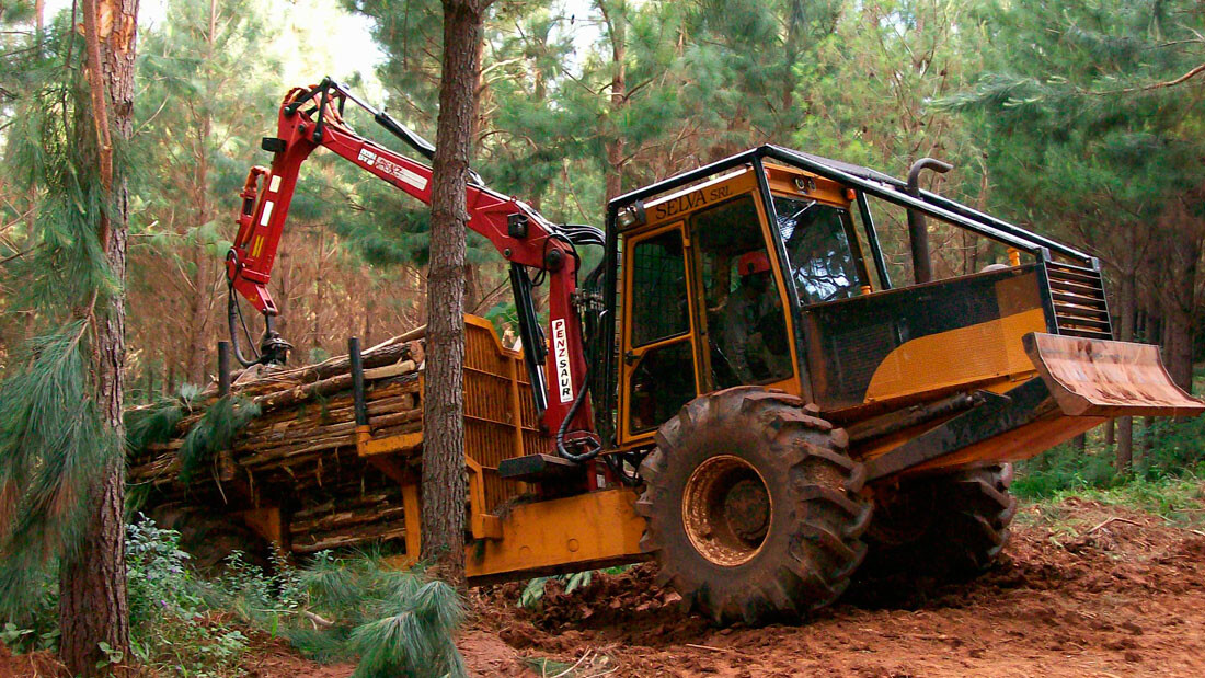 El RENATRE certificó en Prácticas Laborales Sostenibles a la primera empresa forestal del país y de Misiones