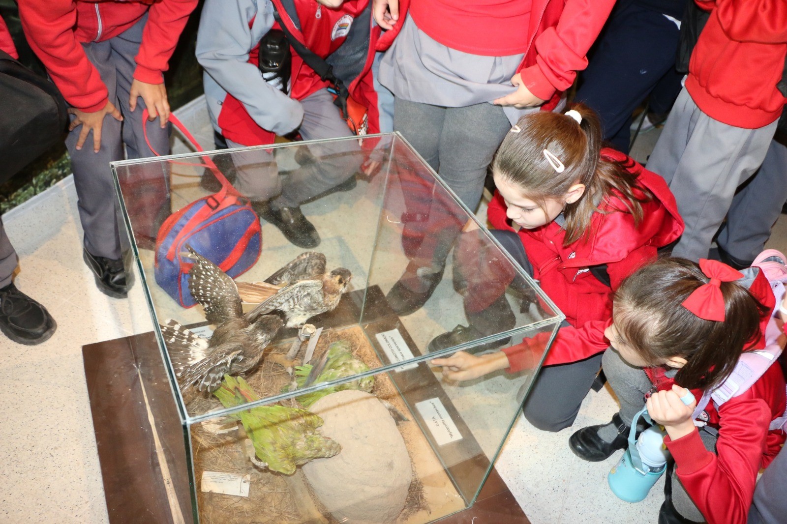 La UNSE celebró la Semana de la Ciencia con actividades de comunicación científica