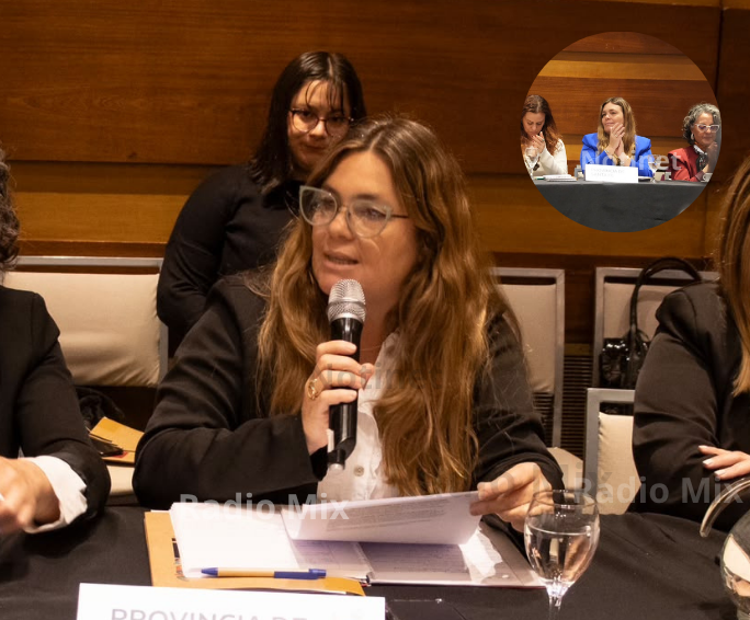 Di Stefano llevó la experiencia de Santa Fe a un encuentro nacional de legisladores por las infancias