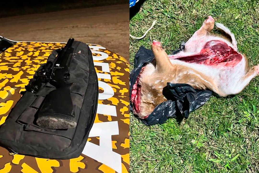 Ruta Provincial 1: secuestran animales faenados y un rifle de alta potencia. Cinco hombres quedaron imputados.