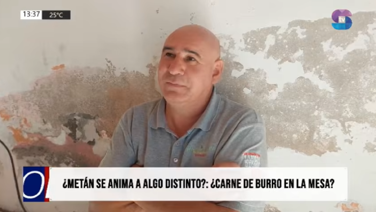 Sin título.png Sin título.png