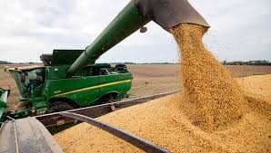 Según Informo CIARA el Agro liquidó U$S 1117 millones en el mes de Octubre
