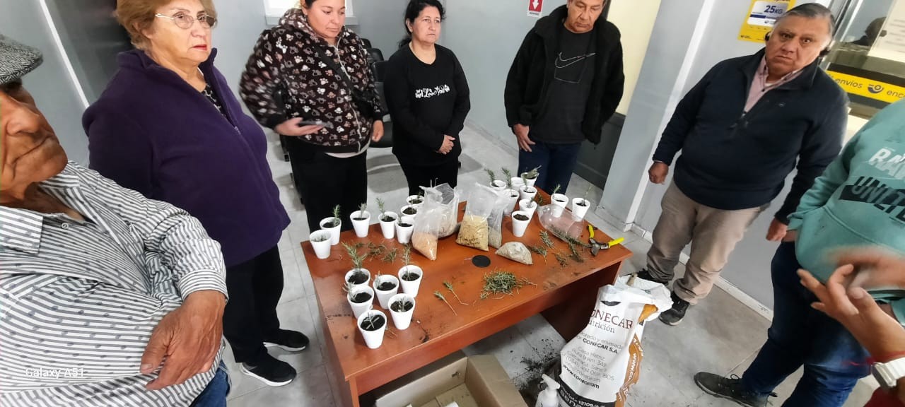 SAN MARTÍN: Taller de armado de plantines