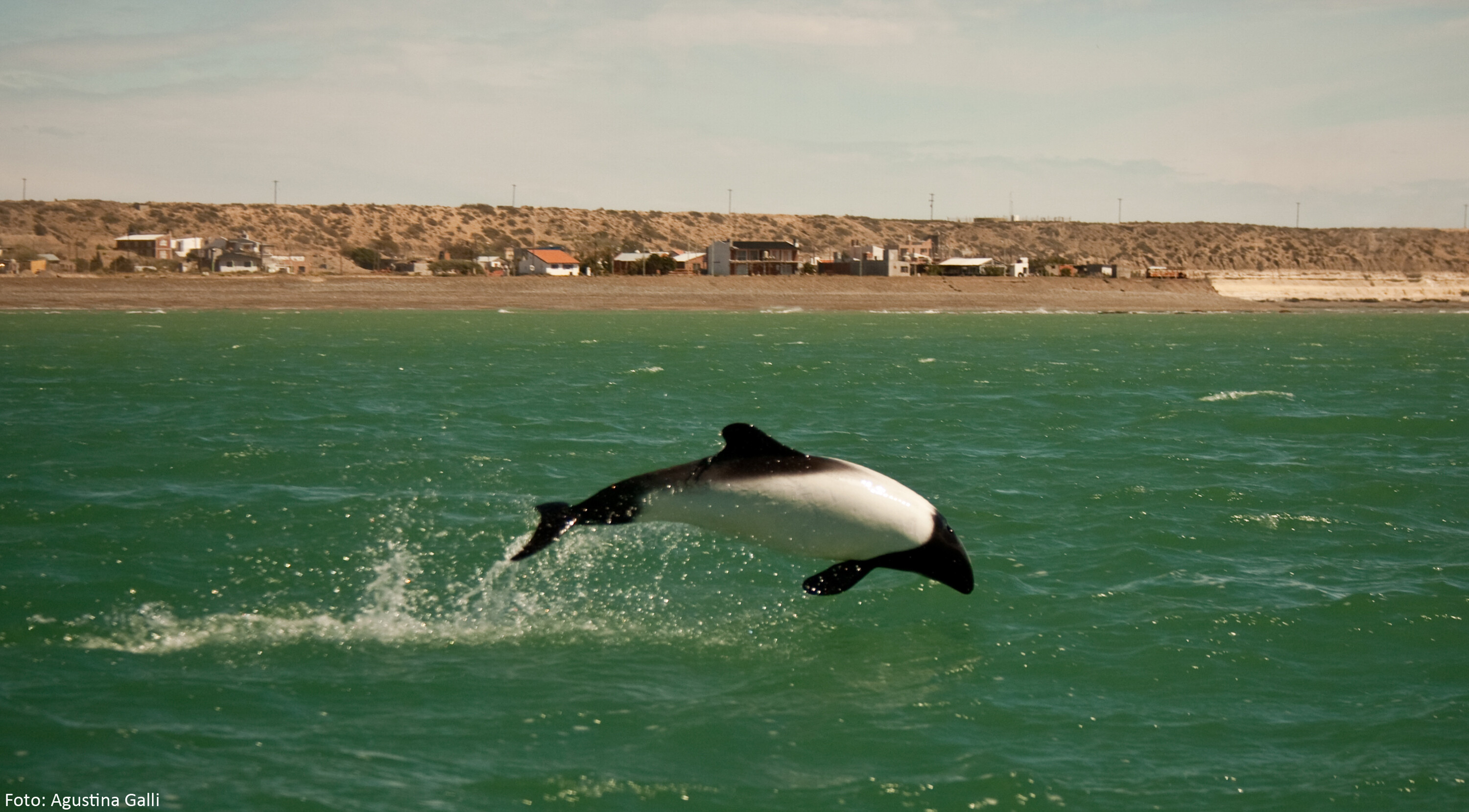 Chubut invita a disfrutar el fin de semana largo con promociones y experiencias únicas en toda la provincia
