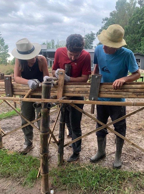 Trabajando-la-Guadua.jpg La Guadua Chacoensis: alternativa verde para la construcción de viviendas en el NEA