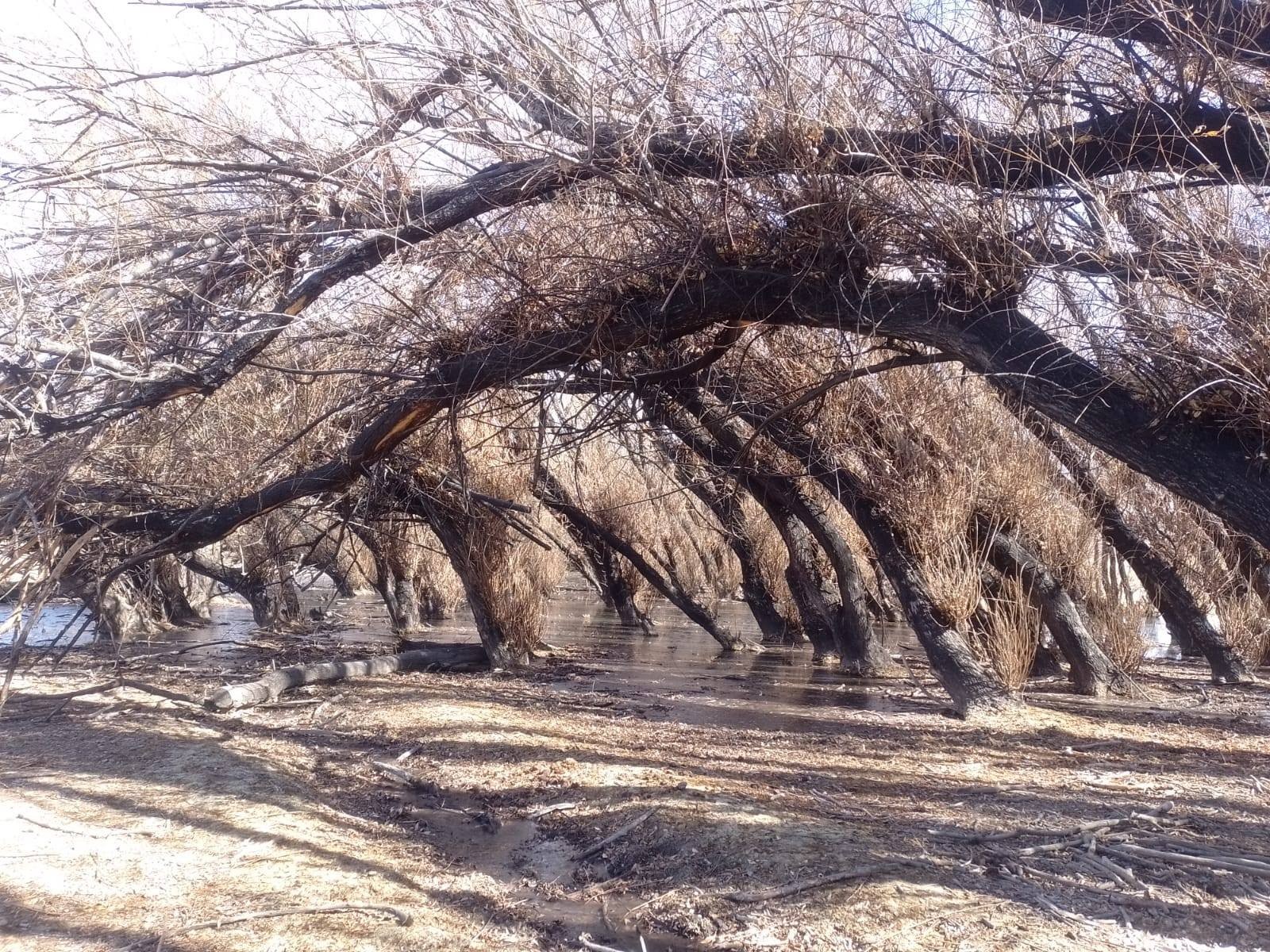 IGLESIA: en vacaciones de invierno seguimos disfrutando de la naturaleza y aventura