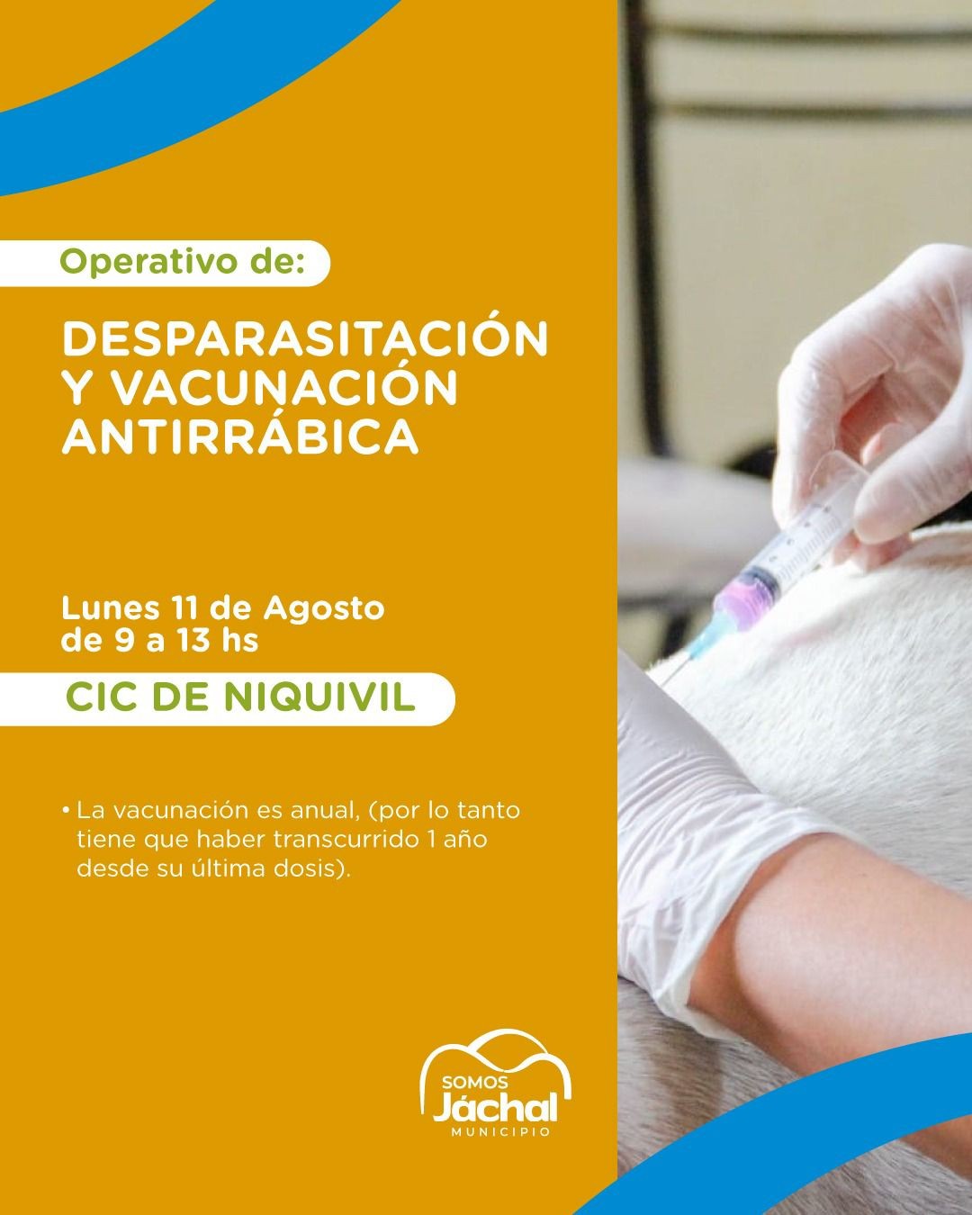 VACUNACIÓN-ANTIRRÁBICA.jpeg