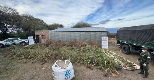 GENDARMERÍA ALLANÓ UNA FINCA EN CAPAYÁN