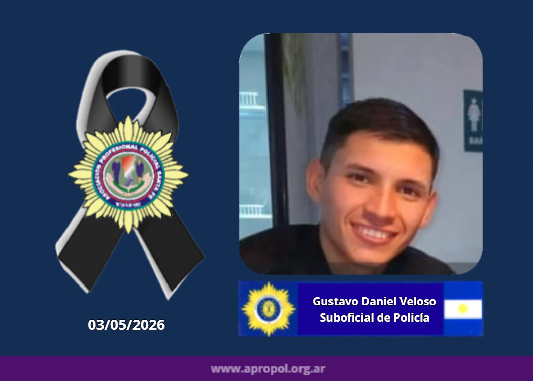 Veloso_Daniel_04may26.jpg Veloso_Daniel_04may26.jpg