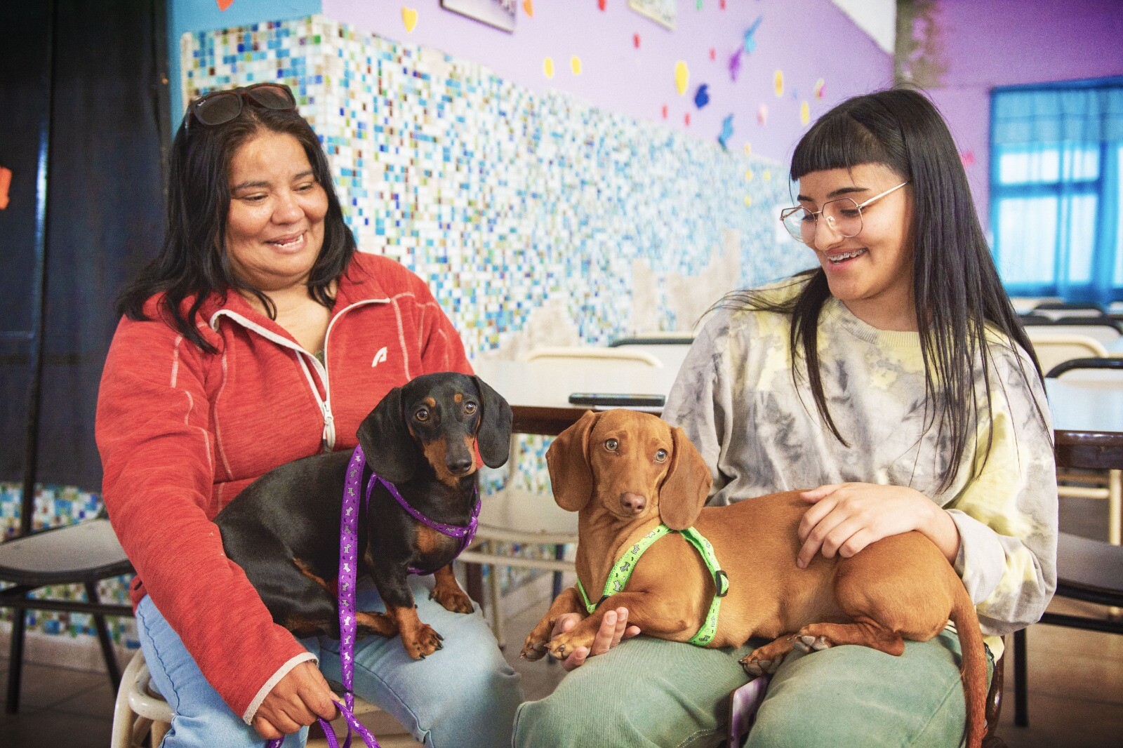 Veterinaria Municipal realizó más de 100 esterilizaciones gratuitas en la Jornada de Castración Masiva en Rawson