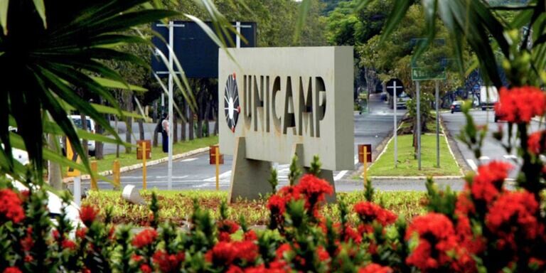 Detuvieron a una científica argentina en Brasil por la presunta sustracción de virus de alto riesgo