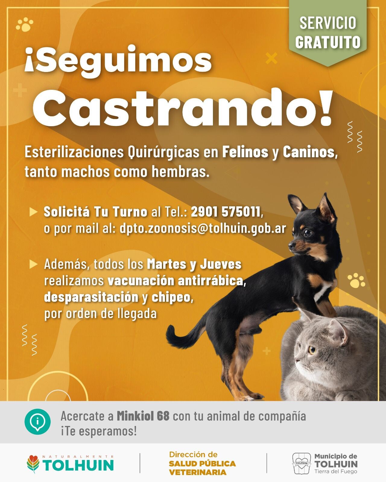 Salud Pública Veterinaria: continúa el servicio en Tolhuin y los turnos para castraciones
