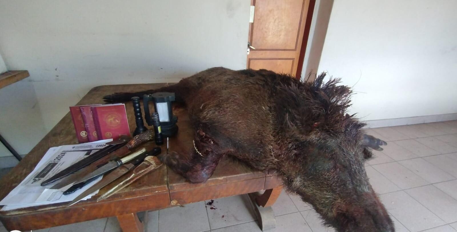 WhatsApp Image 2024-09-06 at 10.50.11 AM.jpeg