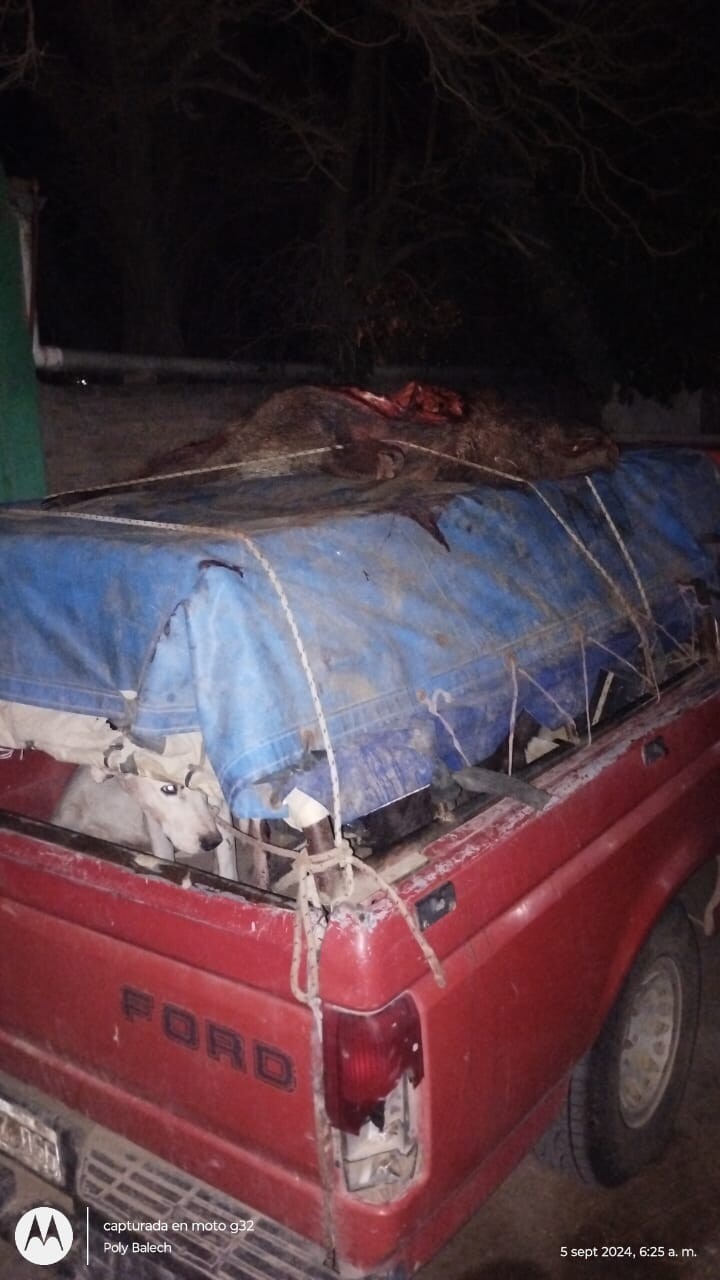 WhatsApp Image 2024-09-06 at 10.50.12 AM (2).jpeg