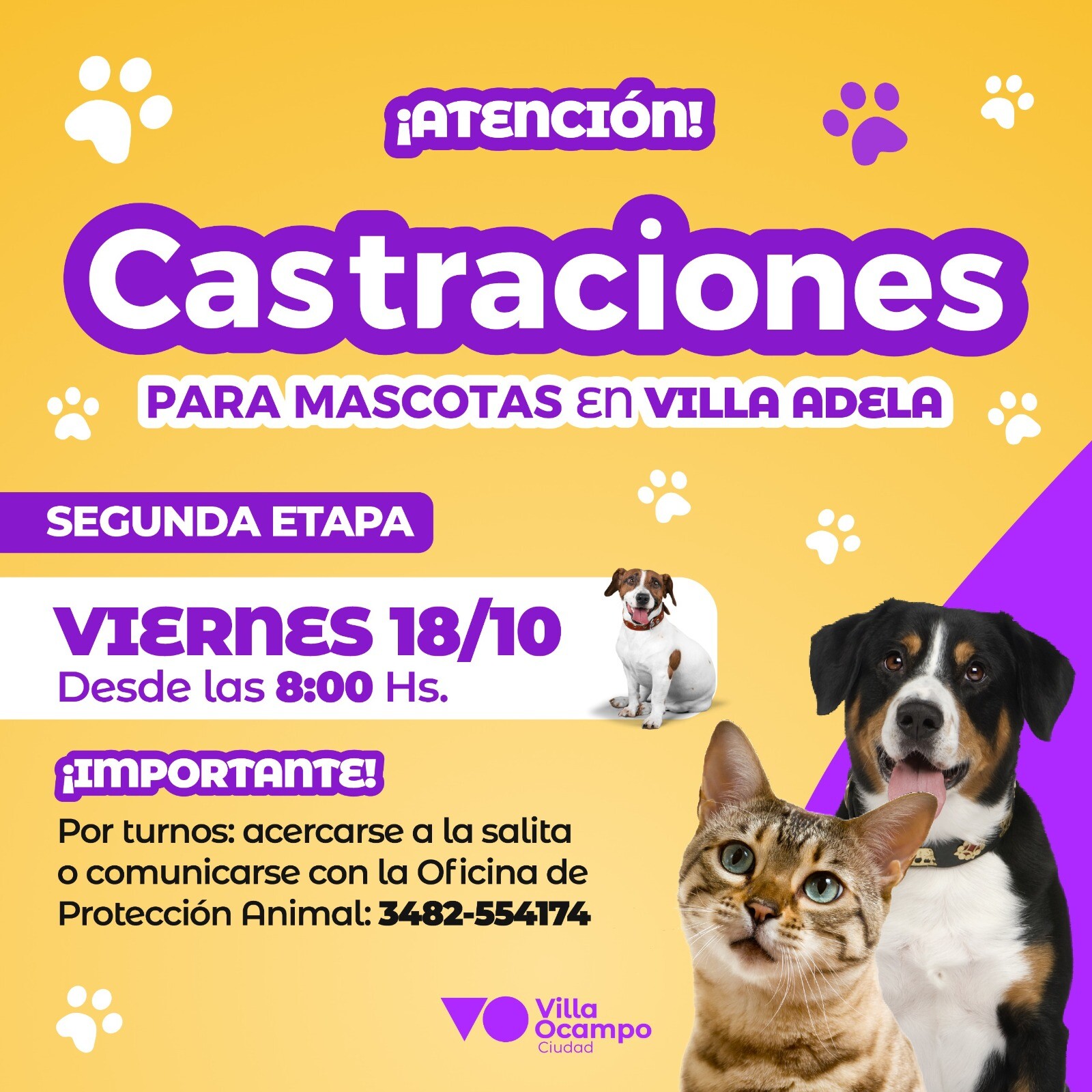 Segunda Campaña De Castraciones Gratuitas Para Mascotas En Villa Adela