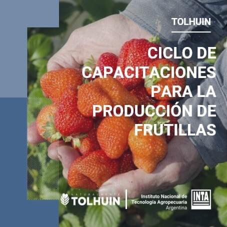 EL MUNICIPIO DE TOLHUIN Y EL INTA IMPULSAN UN CICLO DE FORMACIÓN EN PRODUCCIÓN DE FRUTILLAS