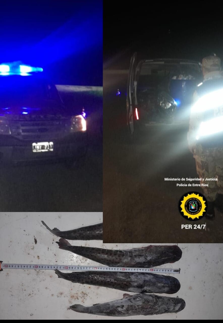 WhatsApp Image 2024-11-21 at 09.55.21.jpeg