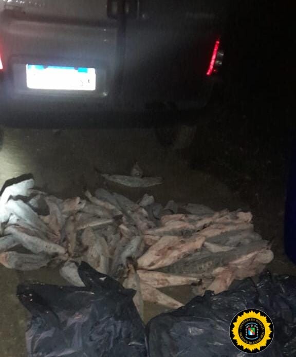 WhatsApp Image 2024-11-21 at 09.55.22.jpeg